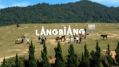 Đà lạt thơ mộng