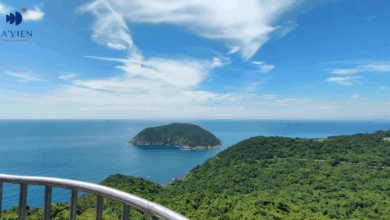 Tour Đảo Hòn Mê 2 ngày 1 đêm