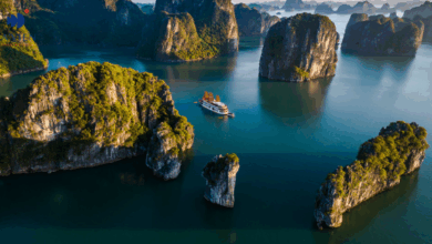 Tour Hạ Long 2 ngày 1 đêm