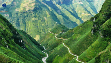 Tour Hà Giang 2 ngày 1 đêm